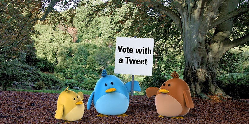 Vote with a Tweet